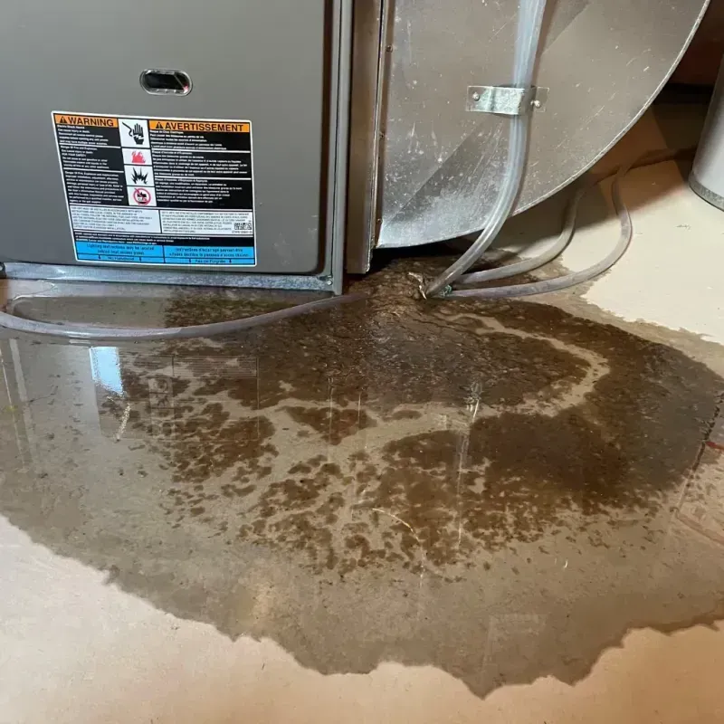 Appliance Leak Cleanup in Brices Creek, NC